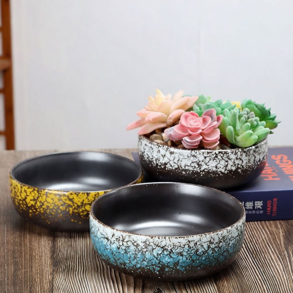 Large Mouth Ceramic Succulent  - đánh giá và giá Bonsai Garden Art