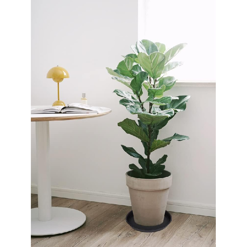 4Pcs Heavy Duty Plastic Plant  - đánh giá và giá Drip Tray Saucer