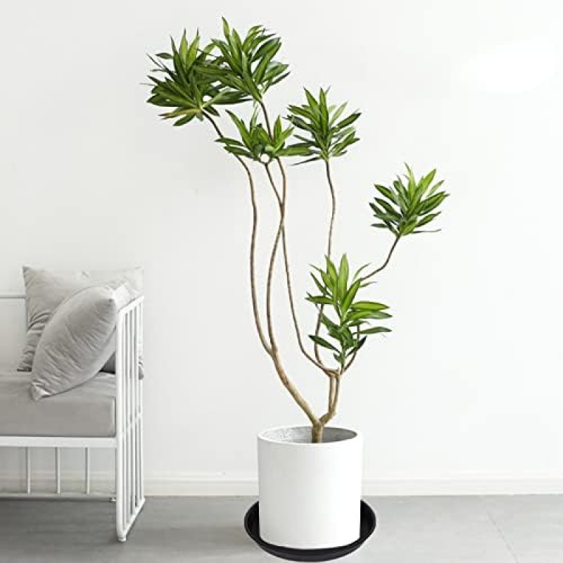 4Pcs Heavy Duty Plastic Plant  - đánh giá và giá Drip Tray Saucer