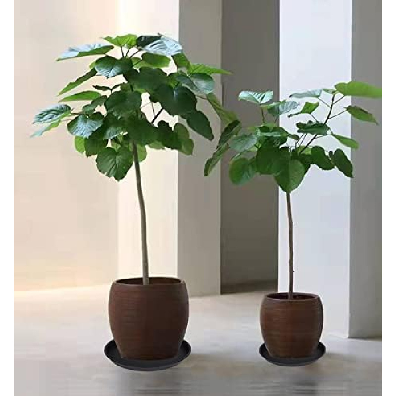4Pcs Heavy Duty Plastic Plant  - đánh giá và giá Drip Tray Saucer